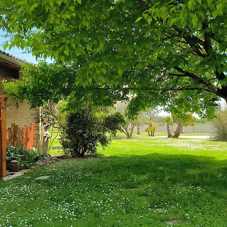 Les Bohemielles 4**** Martin *