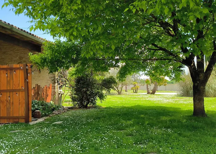 Les Bohemielles 4**** Martin *